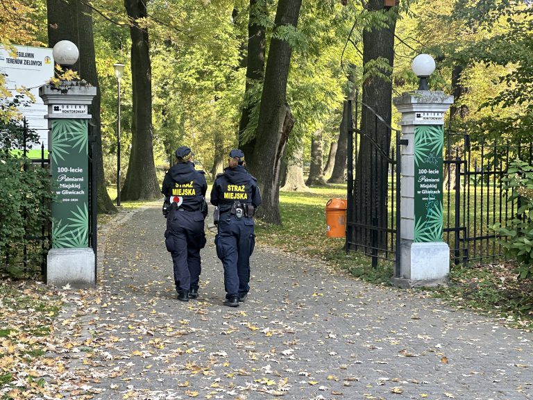 Szukasz pracy? Możesz zostać strażnikiem miejskim