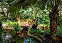 Gliwicka Palmiarnia będzie czynna 7 dni w tygodniu Palmiarnia gliwice