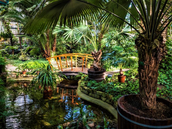 Palmiarnia gliwice Palmiarnia gliwice