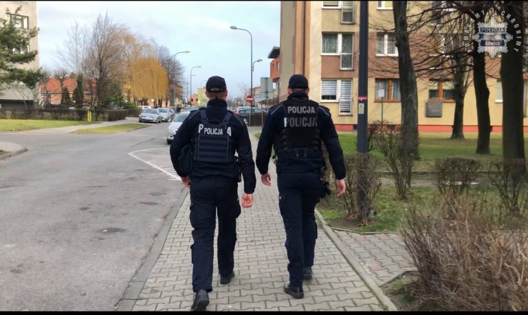 Zatrzymano 9 osób. Chodzi m.in. o kradzieże, znęcanie się i agresję