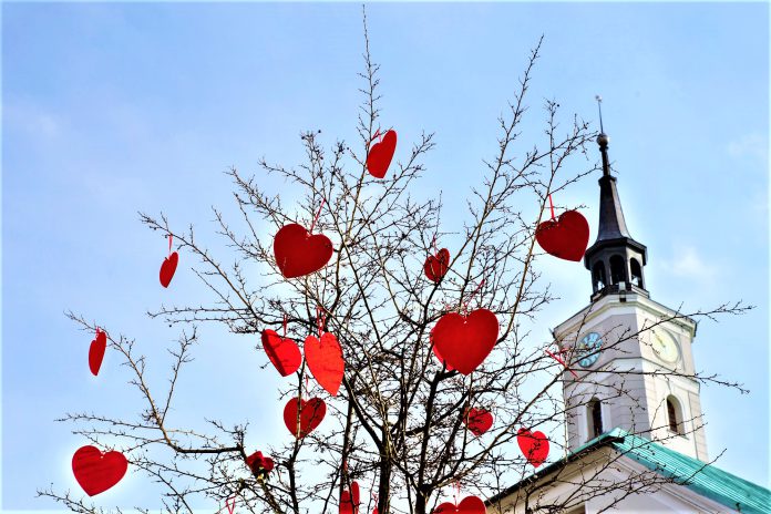 BPM Walentynki fot.D.Nita Garbiec