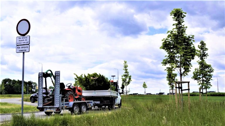 Nowe nasadzenia w Gliwicach