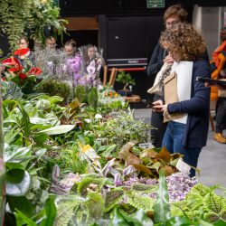 JWSR KATOWICE CE Poprawione Szum