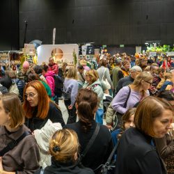 JWSR KATOWICE CE Poprawione Szum