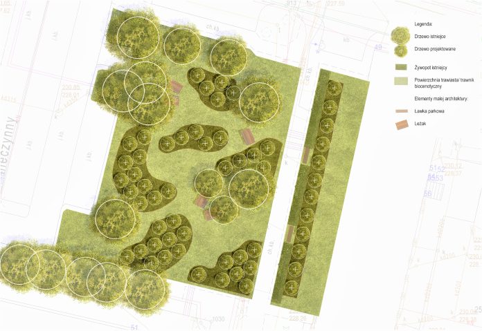 rzut projekt Sad Jasna A