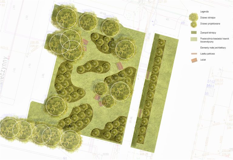 Powstanie miejski sad w Gliwicach. Owoce prosto z drzewa