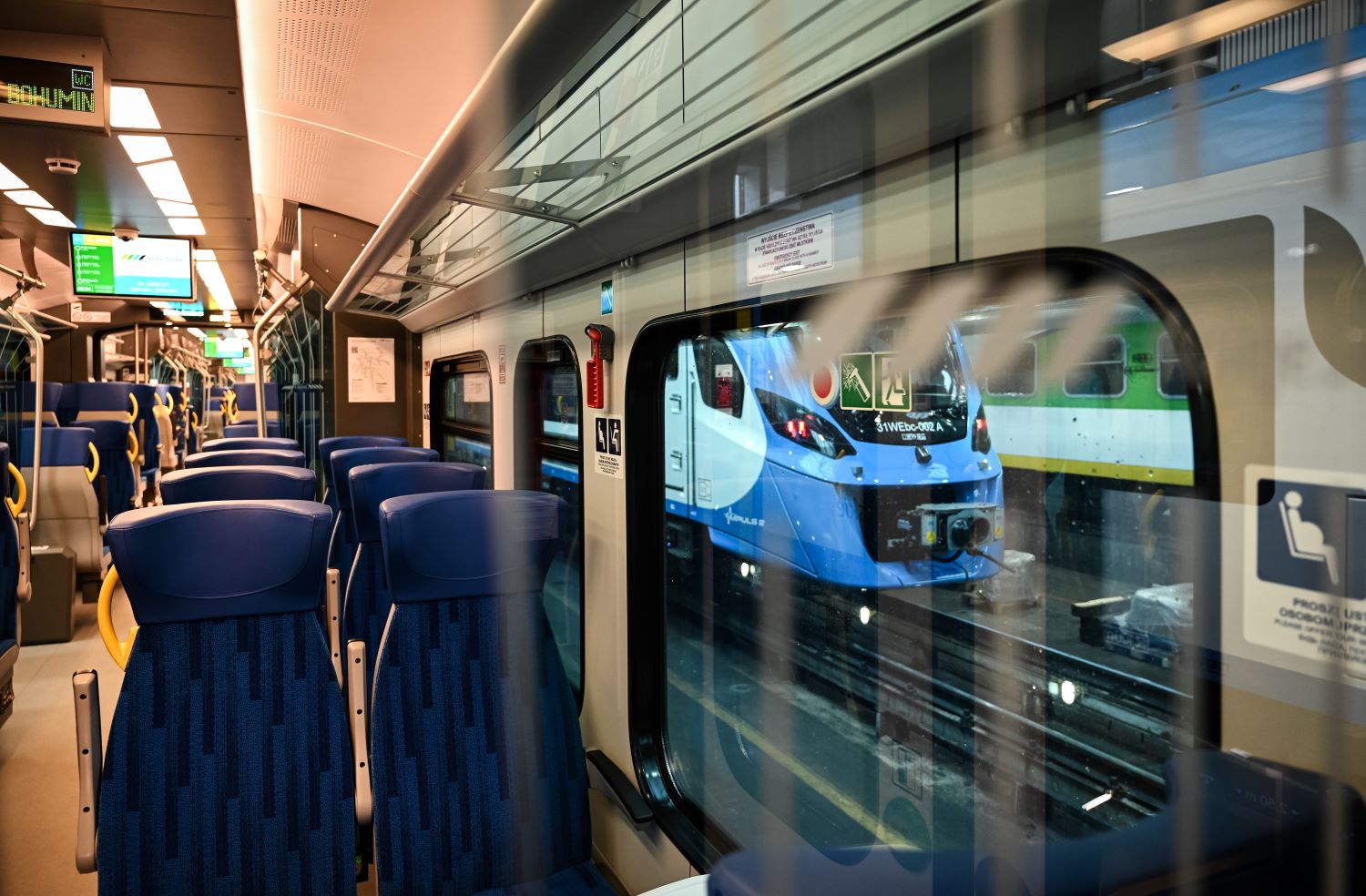 rozklad anna lewanska