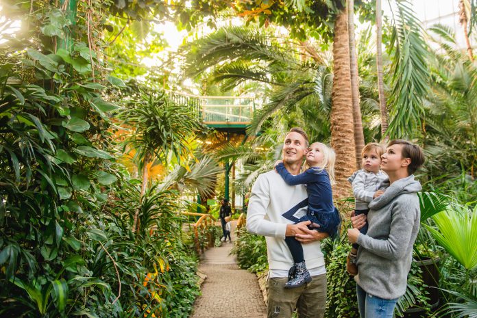 Palmiarnia Miejska fot Michał Buksa UM Gliwice
