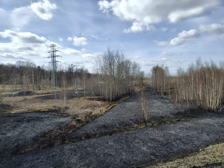 Pożar traw. Straż pożarna prowadziła akcję