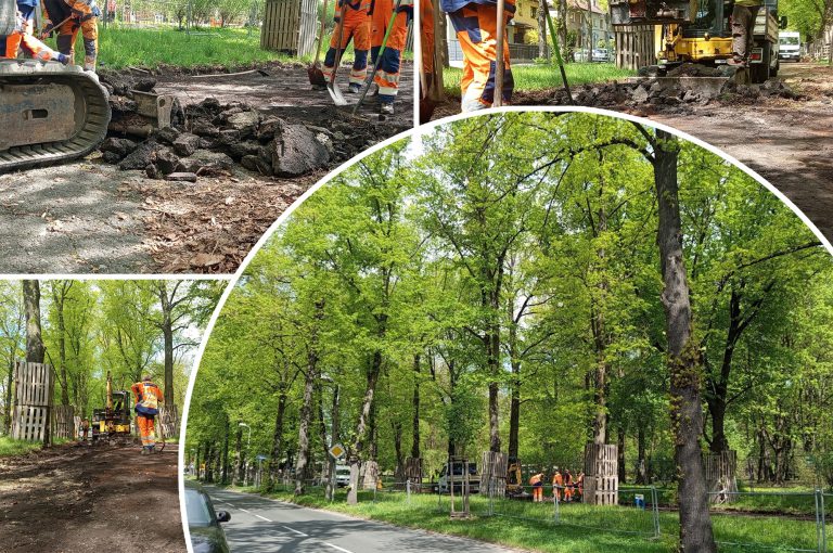 Ruszyła przebudowa alei Mickiewicza