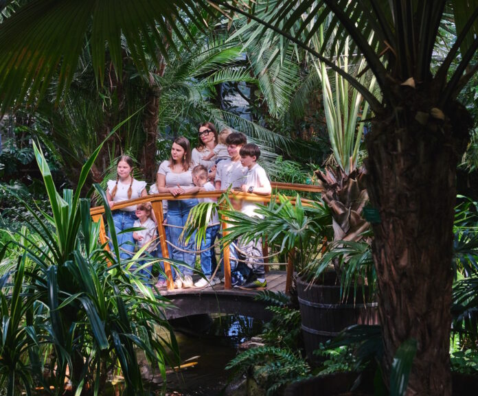 Dotyk Serca palmiarnia .. fot MBuksa ZD