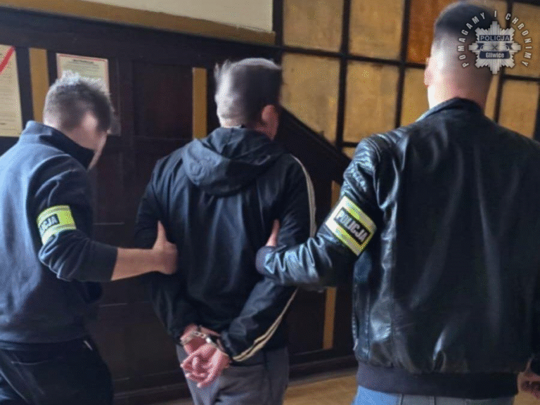 Zatrzymano podejrzanego o kradzież elektronarzędzi