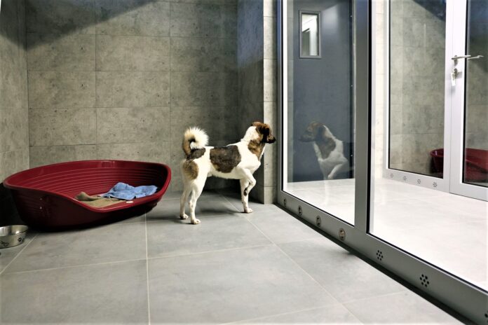 UM Schronisko fot.D.Nita Garbiec