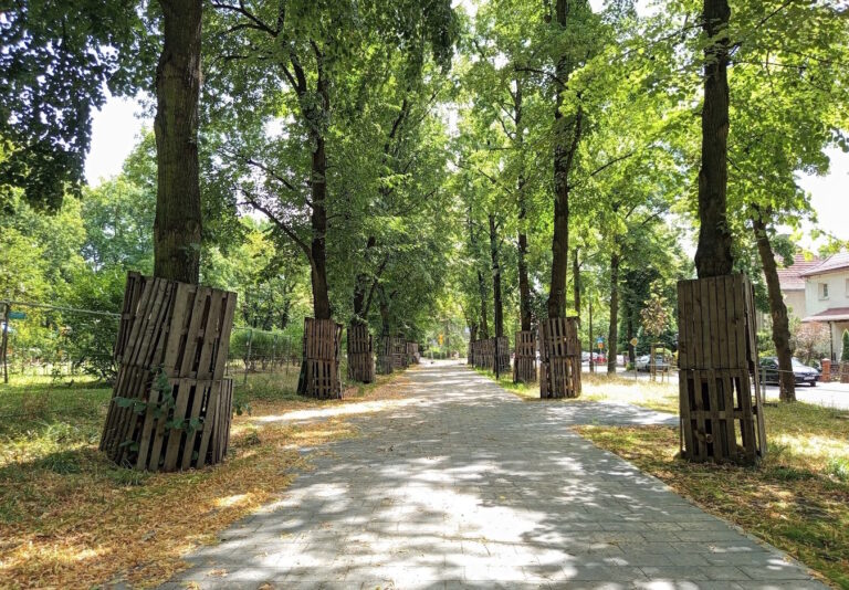 Aleja przy ul. Mickiewicza w części już wyremontowana