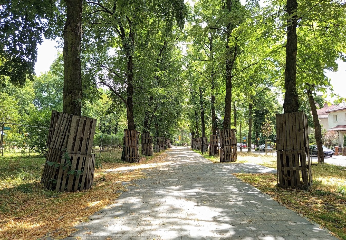 Aleja przy ul. Mickiewicza w części już wyremontowana