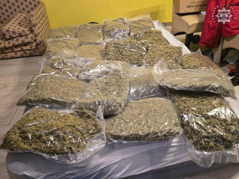 50 kg narkotyków w domu w Gliwicach. 2 mężczyzn zatrzymanych