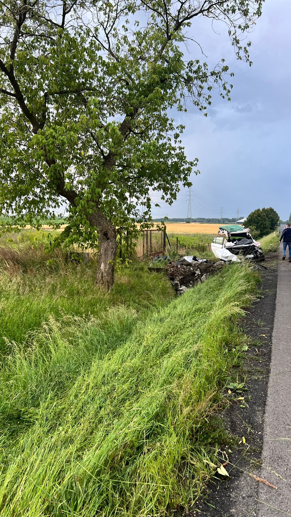 bbf b ae a fcf bbf b ae a fcf