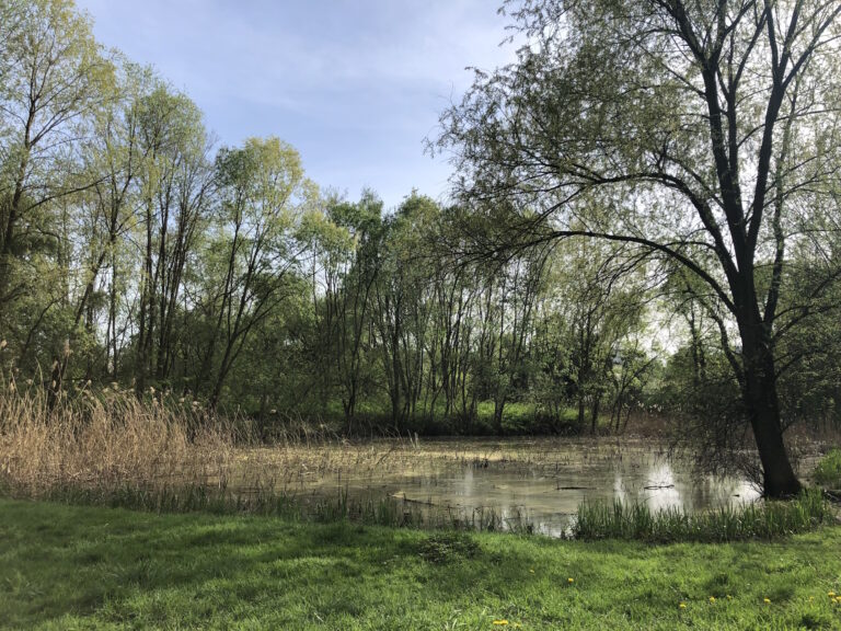 To miejsce będzie jeszcze piękniejsze. 3 mln zł dofinansowania