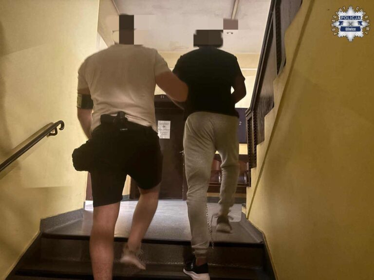 Damski bokser bił matkę. Trafił do aresztu