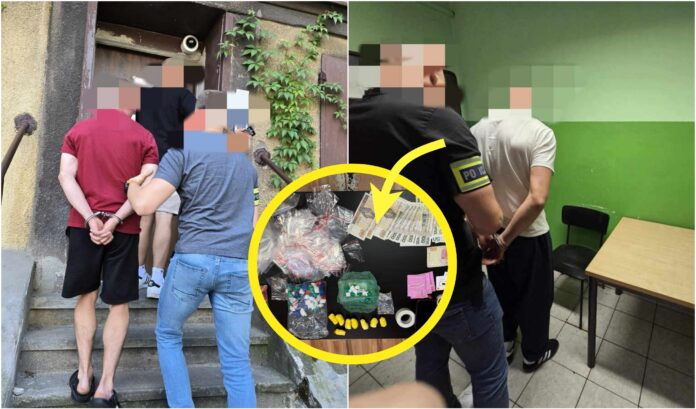 narkotyki zatrzymani