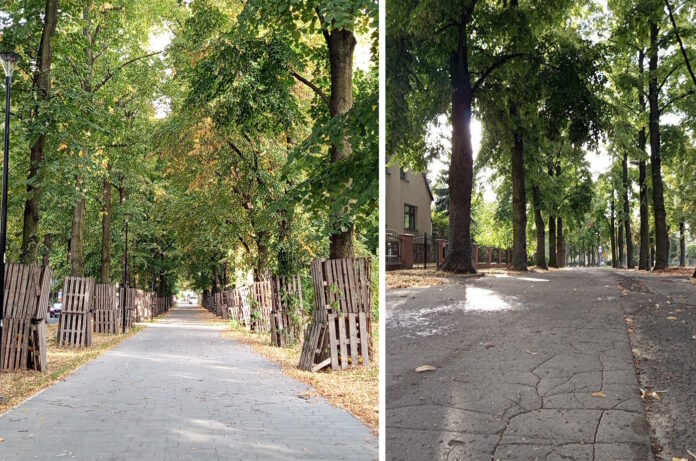 sklejone www sklejone www