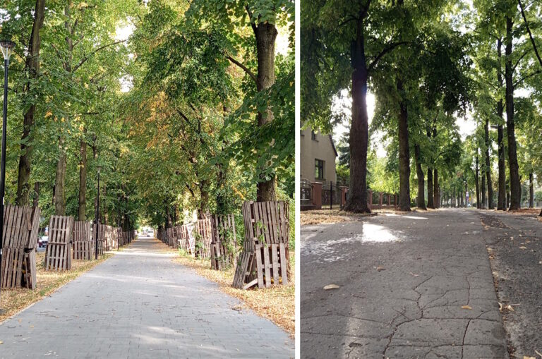 Remont alei Mickiewicza – kontynuacja