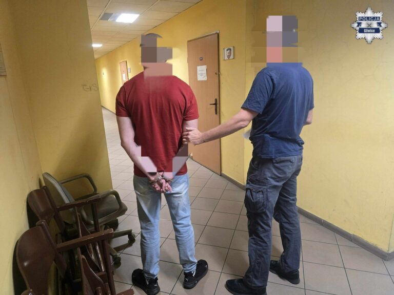 Kradł w Gliwicach, bo u siebie był już znany. Grozi mu 7,5 roku więzienia