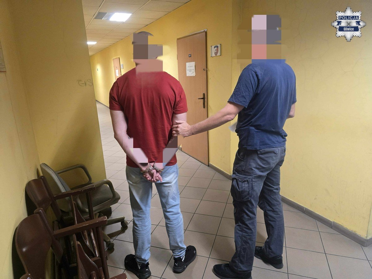 Kradł w Gliwicach, bo u siebie był już znany. Grozi mu 7,5 roku więzienia