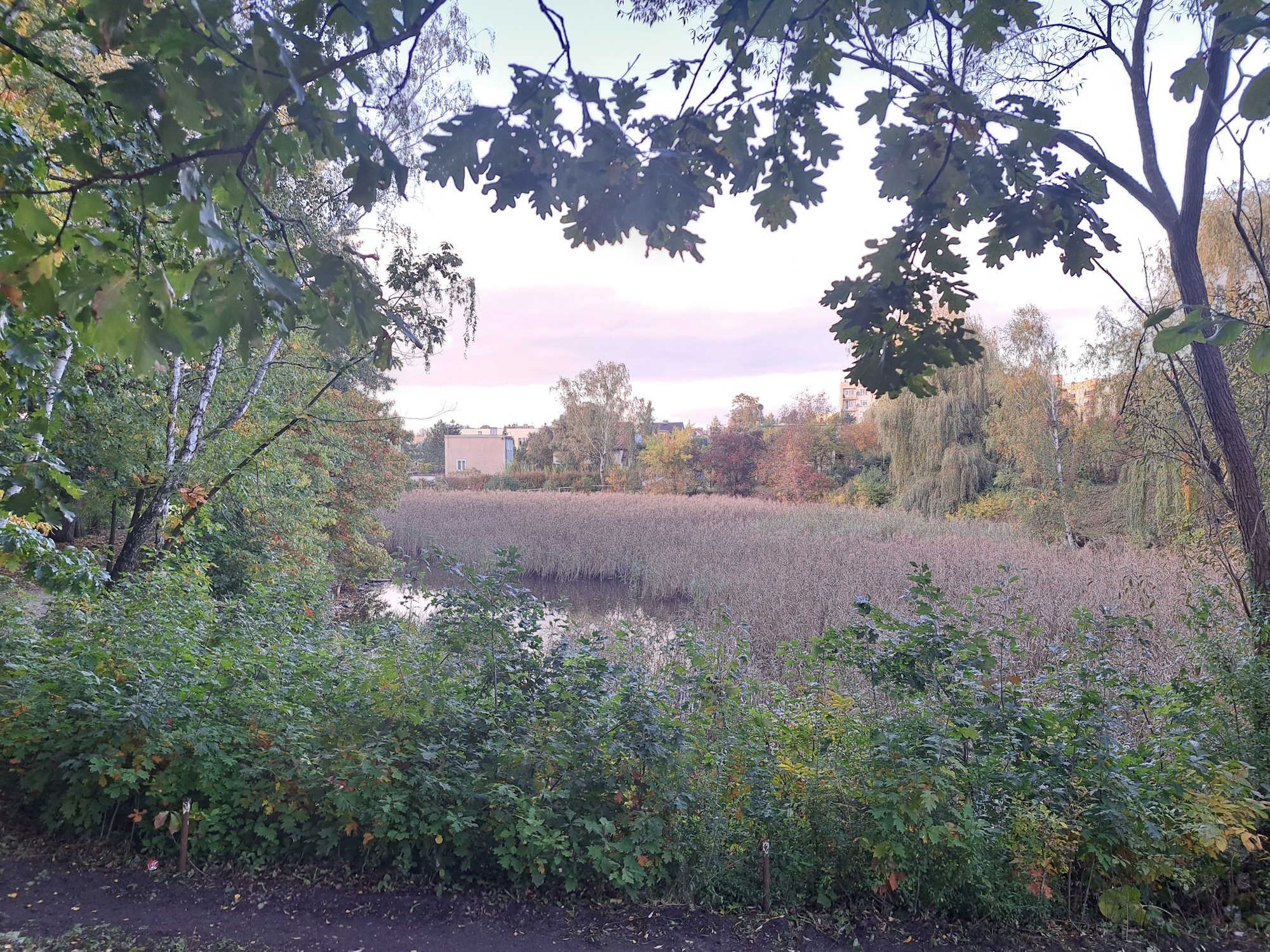 Staw Szuwarek w Łabędach zyska nowe oblicze