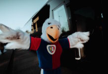 Bezpłatny transport z futsalowej Ligi Mistrzów UEFA na piątkowy mecz Piasta Gliwice z Koroną Kielce