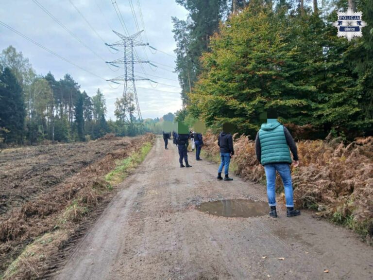 Zaginiony 85-latek odnaleziony w ostatniej chwili