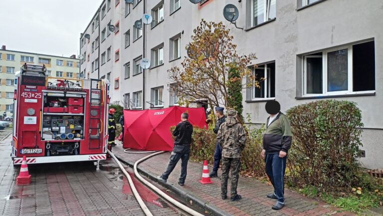 Pożar mieszkania. Mieszkaniec nie dawał oznak życia