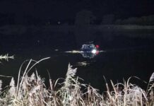 Kierowca z Gliwic wjechał do stawu! Stracił panowanie nad autem IMG