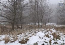 Reakcja świadka pozwoliła uratować życie