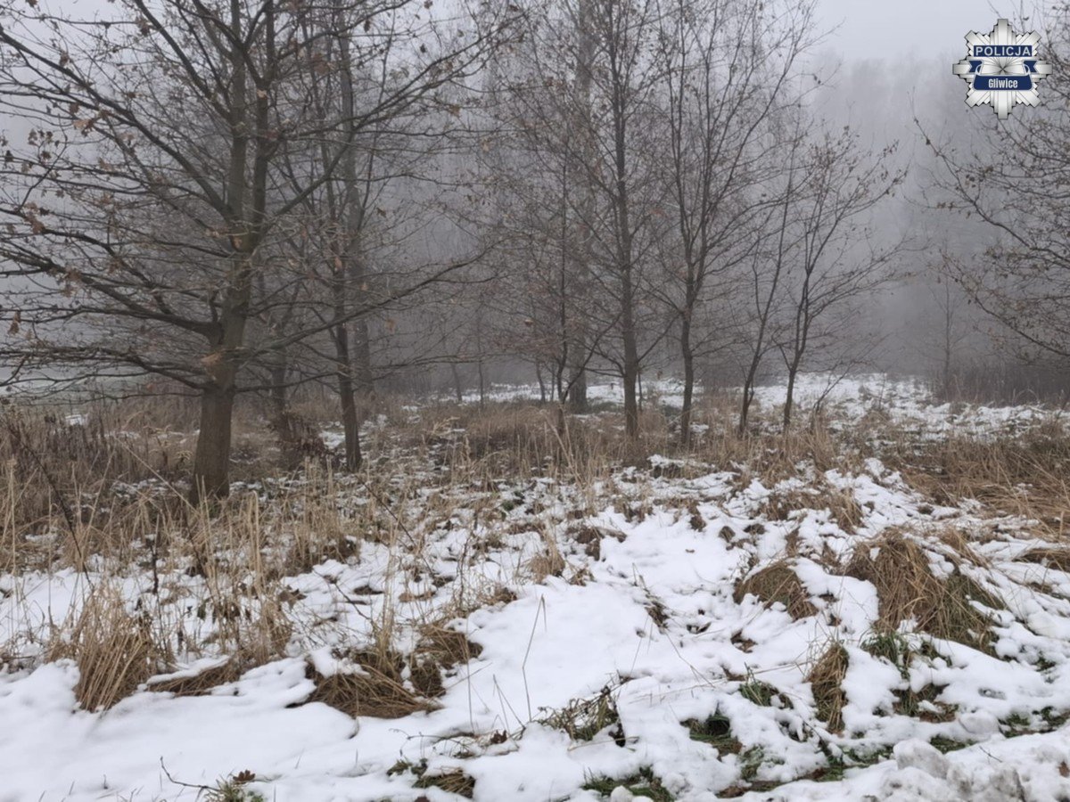 Reakcja świadka pozwoliła uratować życie