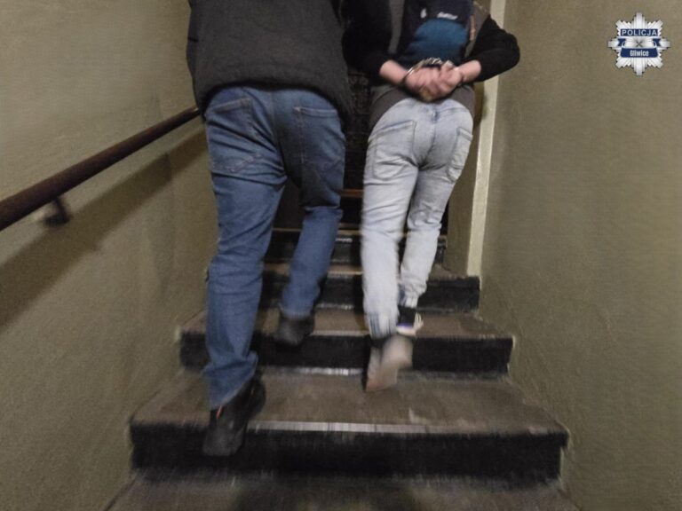 Okradali pracodawcę. Zatrzymała ich ochrona, a później policja