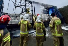 Pożar pod Gliwicami. Spłonęły samochody ciężarowe IMG