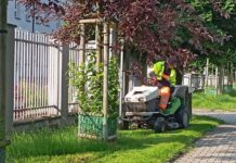 ZDM Gliwice szuka firm, które zadbają o zieleń w mieście koszenie traw