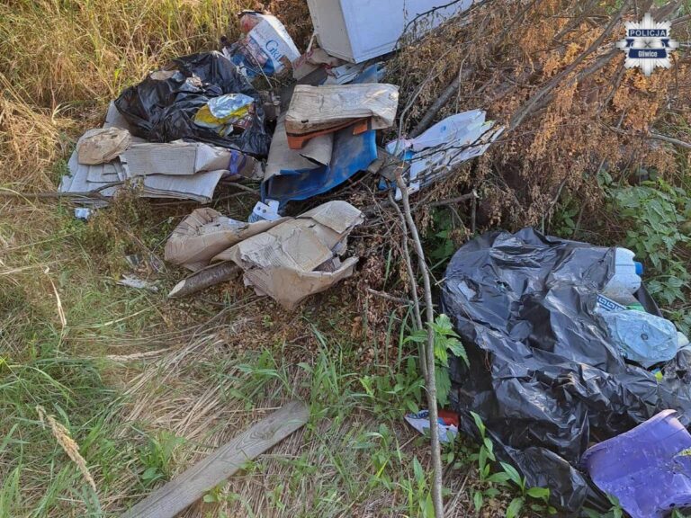 Urządził sobie dzikie wysypisko. Ustalono i ukarano sprawcę