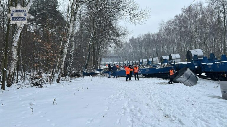 Wykoleił się pociąg towarowy. Co było przyczyną?