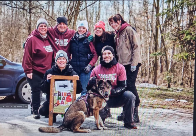Zabierz psa ze schroniska na spacer. W walentynki