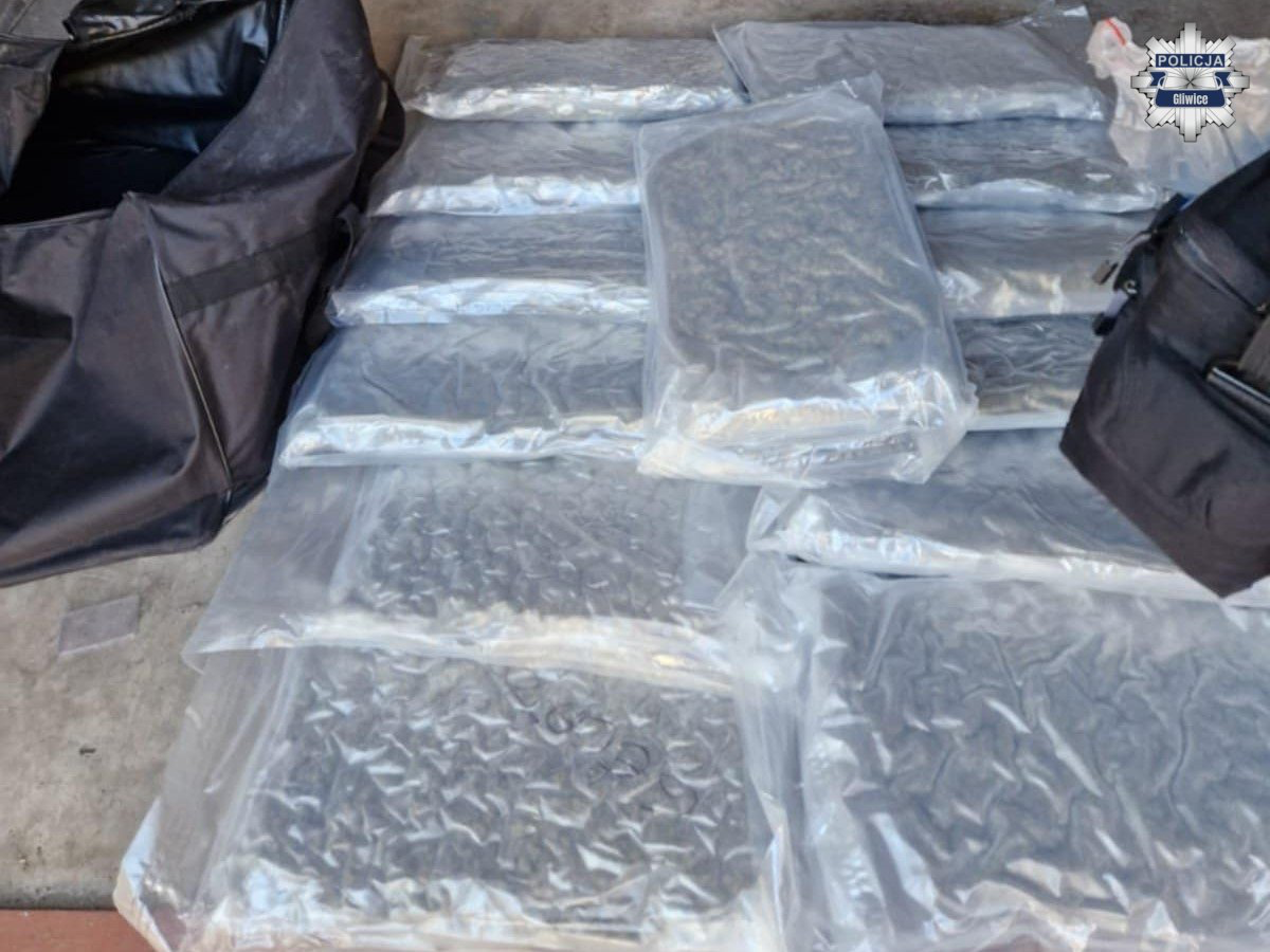 63 kilogramy narkotyków przejęte w Gliwicach