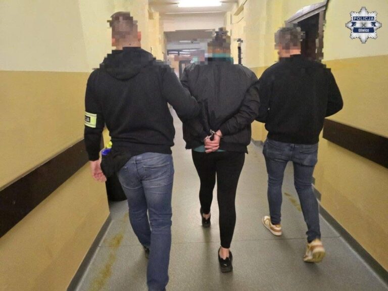 Sklepowi złodzieje zatrzymani w Gliwicach