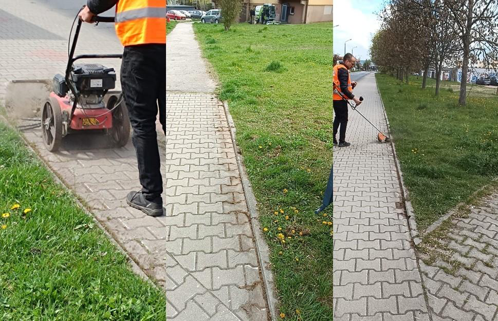 Chwasty spędzają im sen z oczu, ale w ZDM nie poddają się