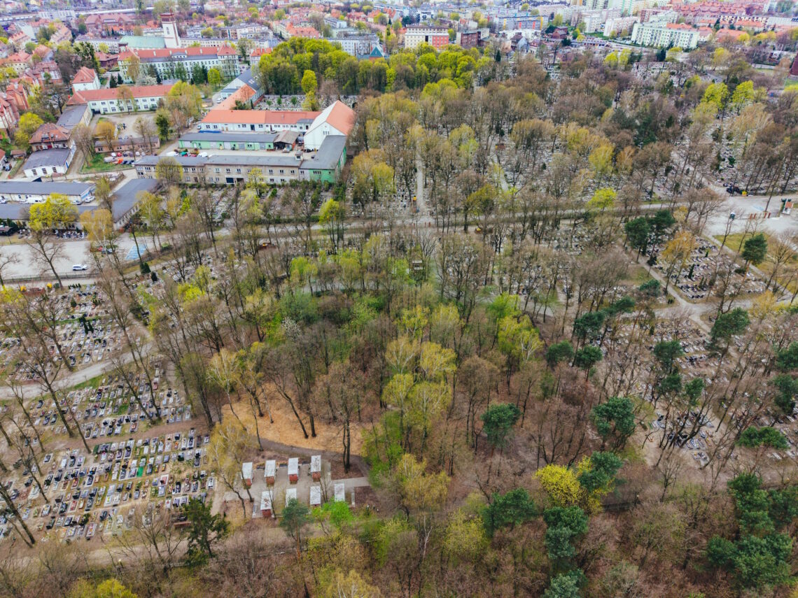 Na Cmentarzu Lipowym powstaje sektor ekologiczny
