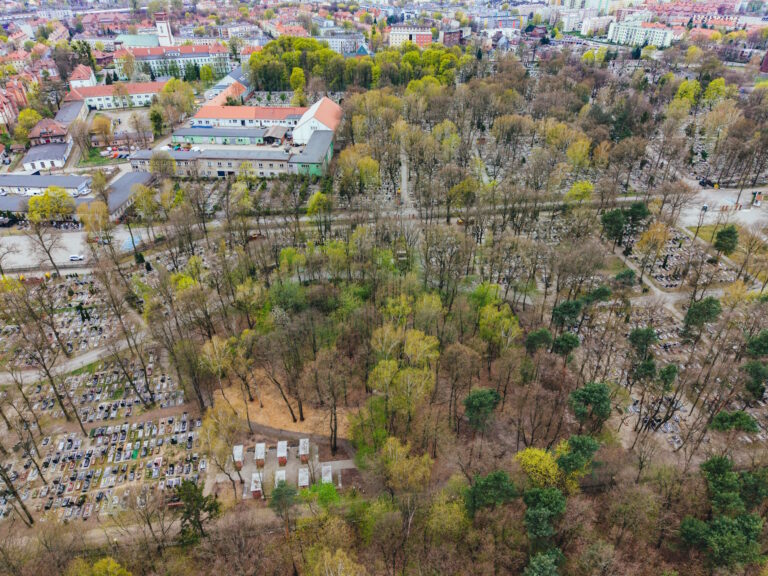 Na Cmentarzu Lipowym powstaje sektor ekologiczny