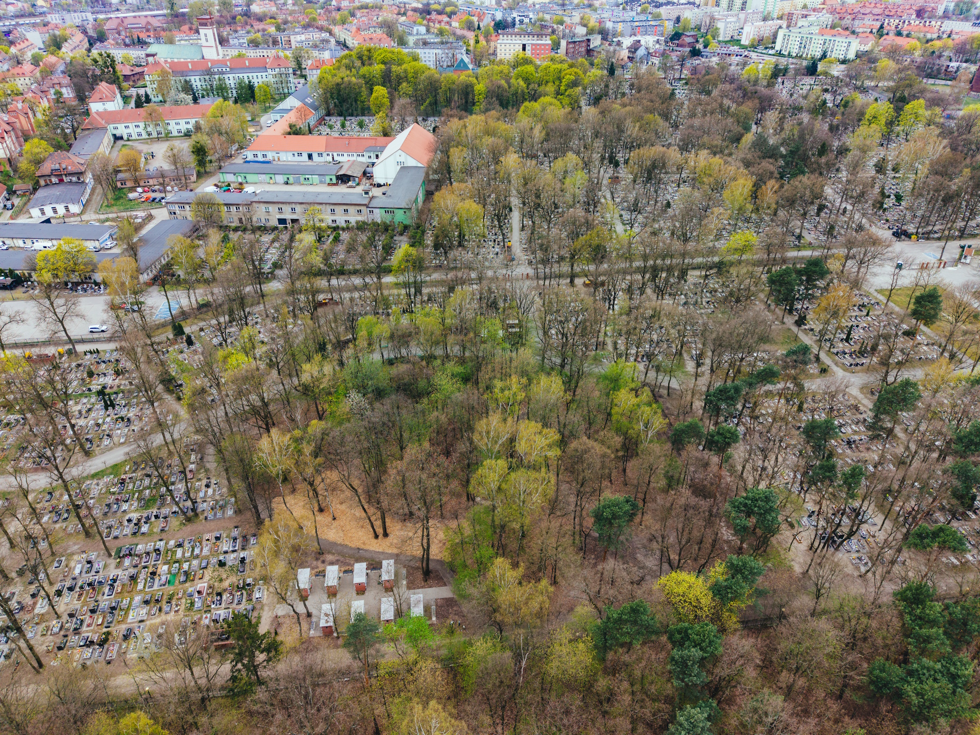 Na Cmentarzu Lipowym powstaje sektor ekologiczny