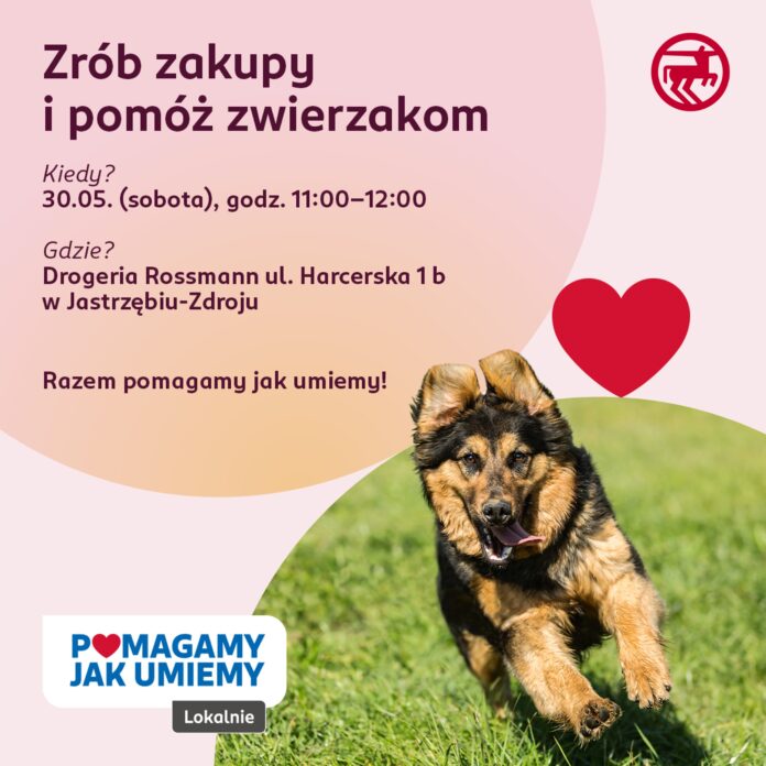 PJUL JZ