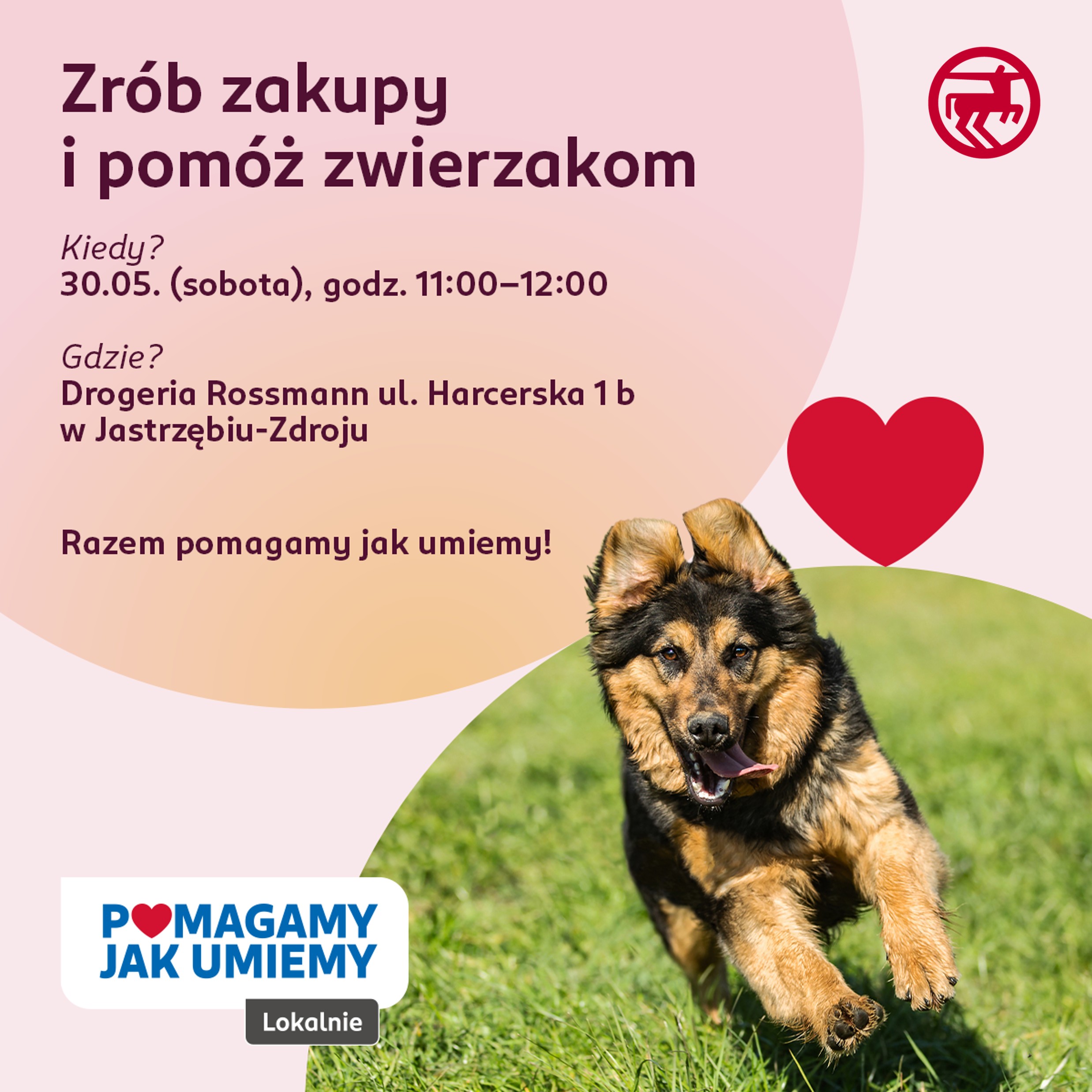 Pomagamy jak umiemy w Jastrzębiu-Zdroju – akcja charytatywna na rzecz Stowarzyszenia „PSYjaciele”