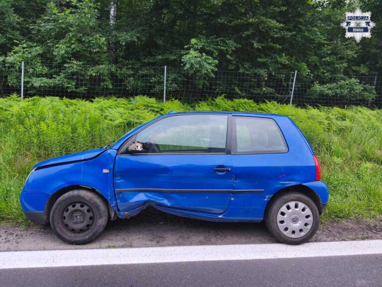 23-latek pod wpływem narkotyków pędził DK88. Zareagował świadek
